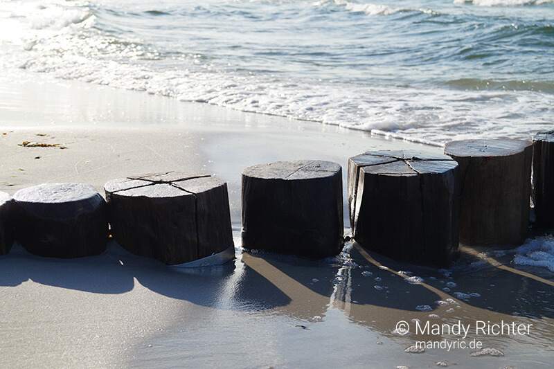 Foto von Mandy Richter Fotografie