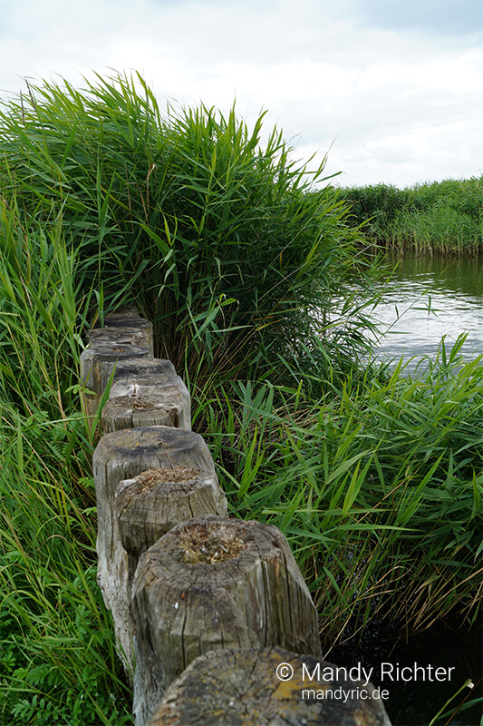 Foto von Mandy Richter Fotografie