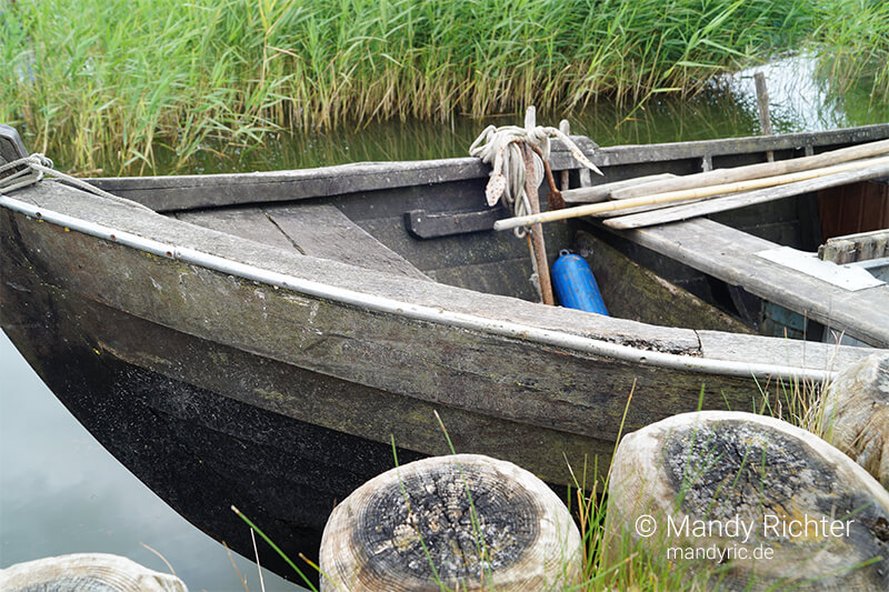 Foto von Mandy Richter Fotografie
