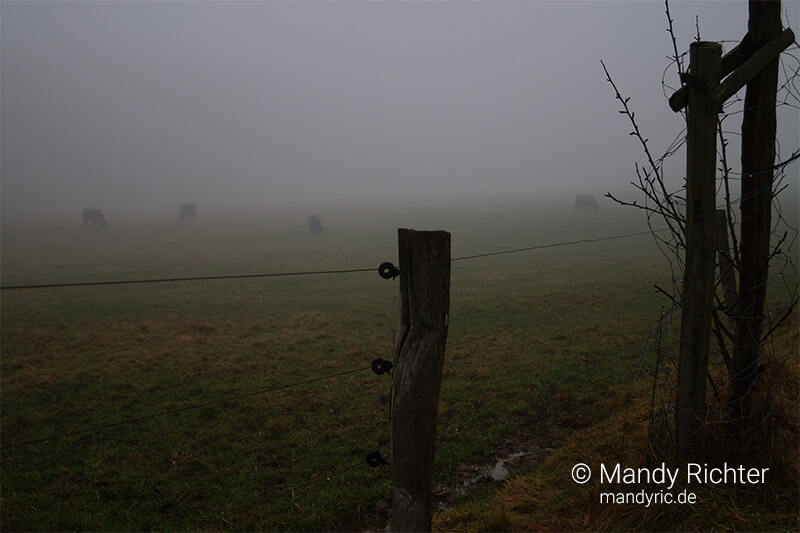 Foto von Mandy Richter Fotografie