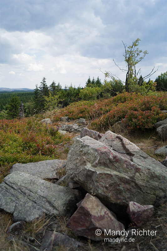 Foto von Mandy Richter Fotografie