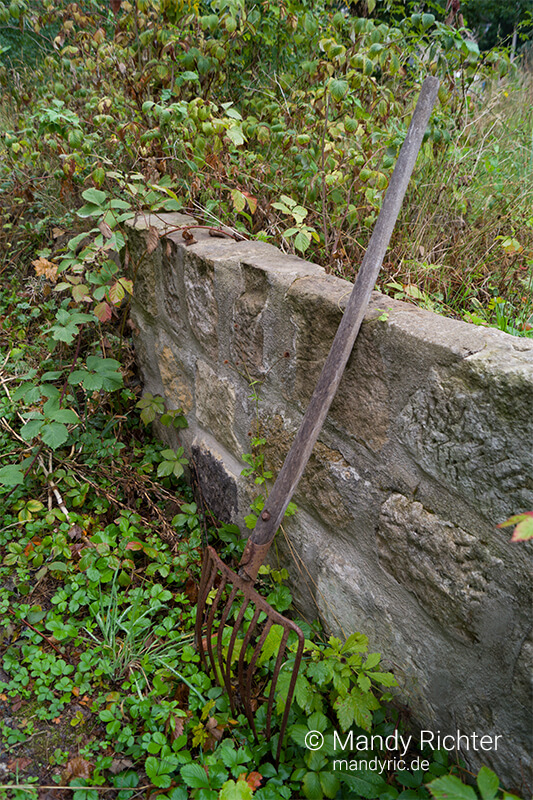 Foto von Mandy Richter Fotografie